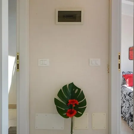 公寓 Casa Cecina Star